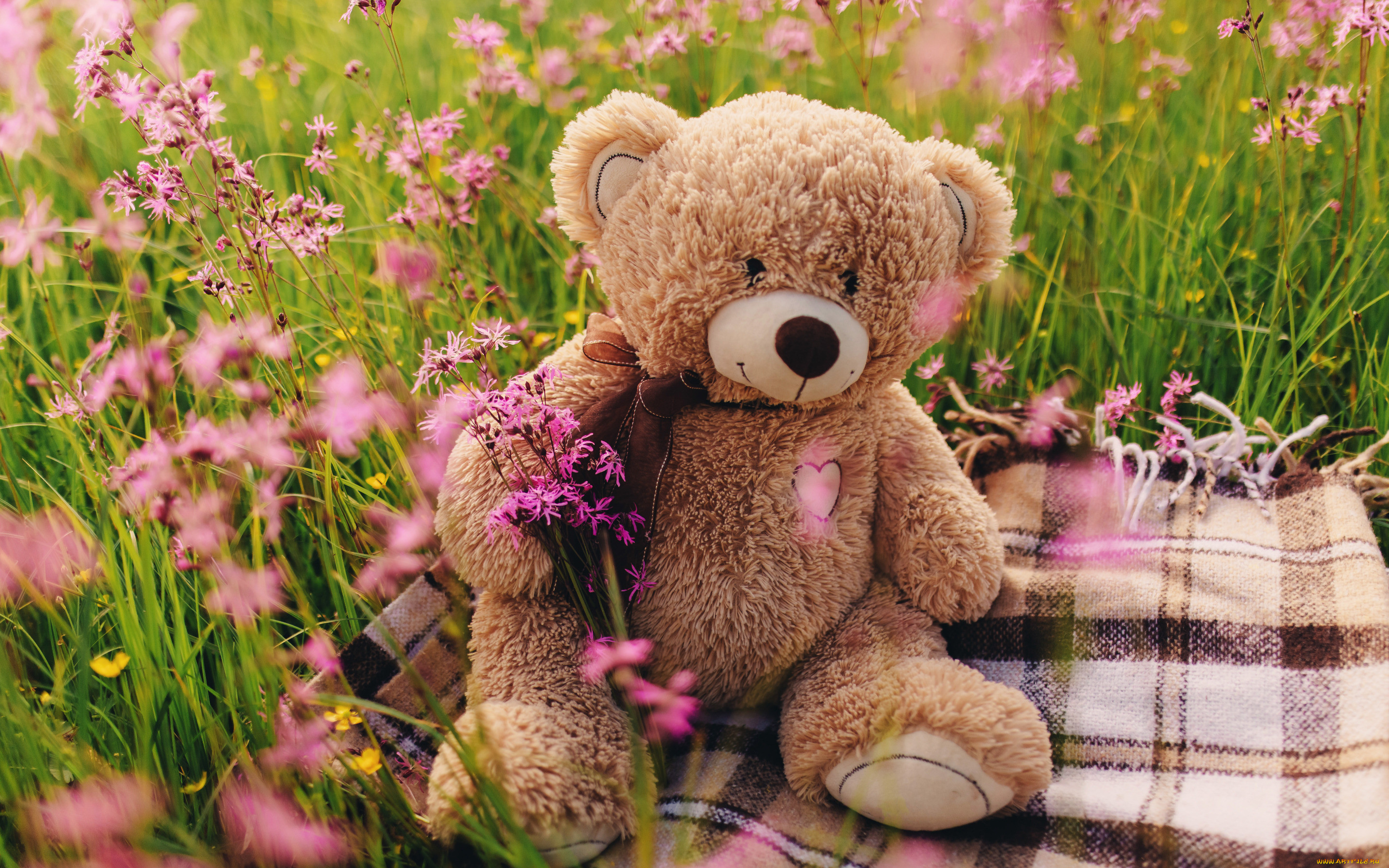 , , , , , love, field, heart, pink, flowers, romantic, spring, teddy, bear, cute, meadow